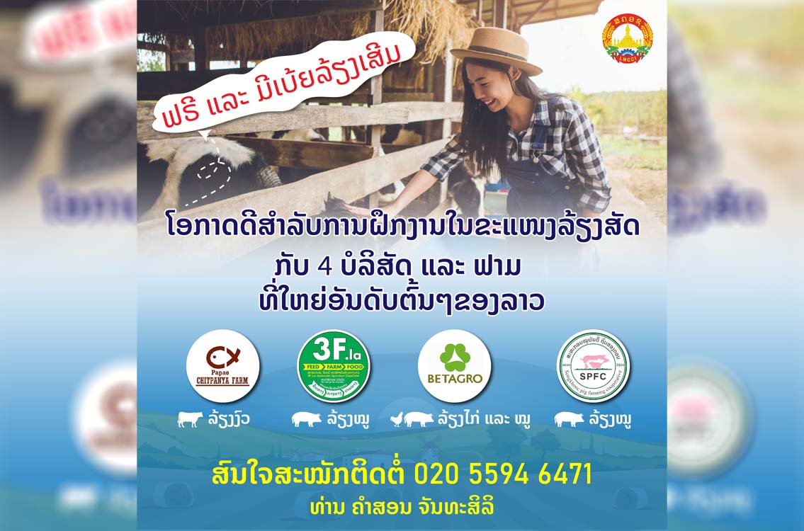 ໂອກາດດີມາແລ້ວ! ຝຶກງານຂະແໜງລ້ຽງສັດໃນ ນະຄອນຫຼວງວຽງຈັນ ແລະ ສະຫວັນນະເຂດ