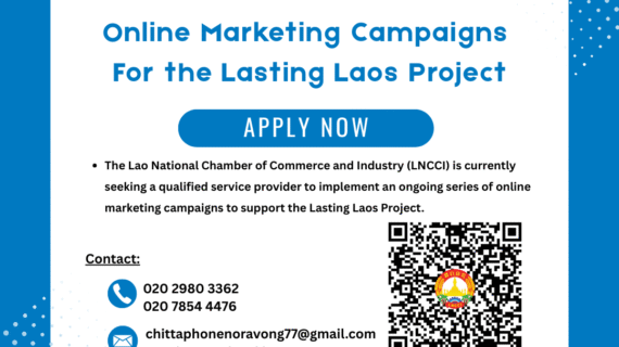Online Marketing Campaigns  For the Lasting Laos Project