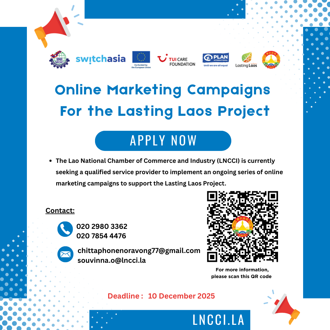 Online Marketing Campaigns  For the Lasting Laos Project